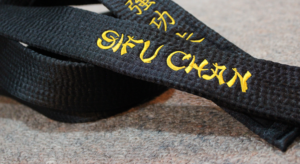 About our unique style of kung fu and martial arts. Kung Fu Academy Palmerston North.