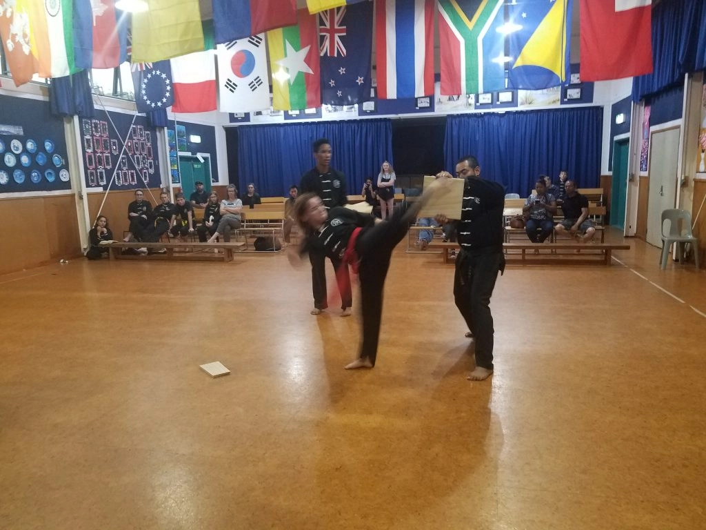 Kung Fu for adults